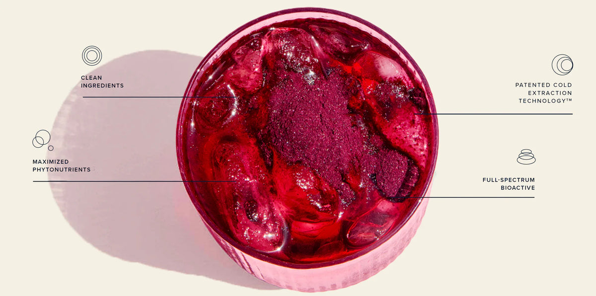 An overhead infographic of a red iced tea drink highlighting clean ingredients and extraction technology for PiqueLife, a brand supported by Ambiw's Shopify Plus retainer